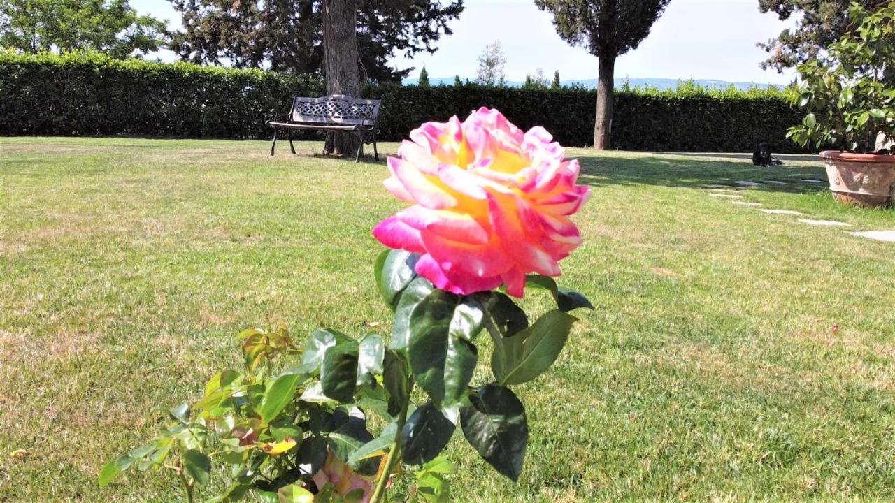 Tenuta Barbadoro Agriturismo Apartment Montespertoli Dış mekan fotoğraf