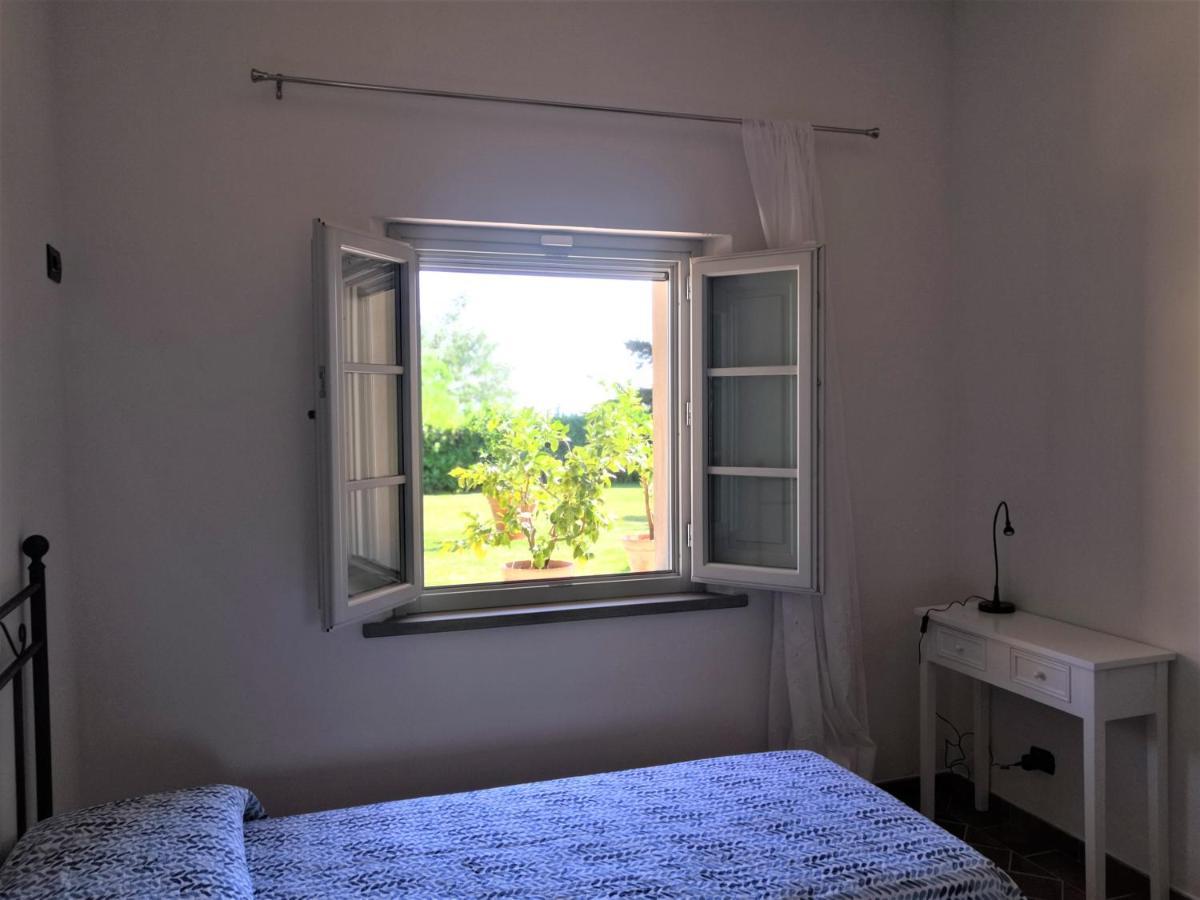 Tenuta Barbadoro Agriturismo Apartment Montespertoli Dış mekan fotoğraf